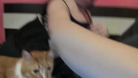 Gisella online show from January 10, 2025, 2:34 pm