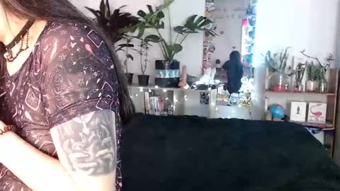 Nice to meet you my name is Heyli  online show from December 2, 2024, 2:31 am