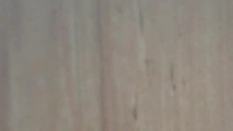 Glyder online show from February 7, 2025, 3:41 pm