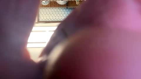 gngnxxx online show from April 16, 2026, 4:02 am