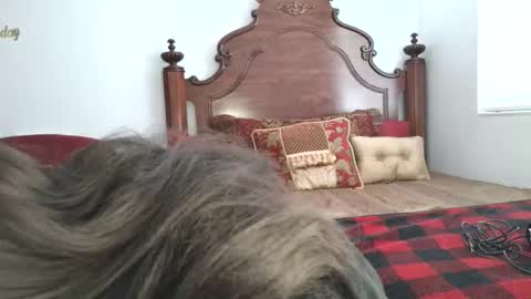 Snapshot of goddess_xandra_xquisite chatting on March 19, 2026, 1:26 pm Xandra The Goddess online show from March 19, 2026, 1:26 pm