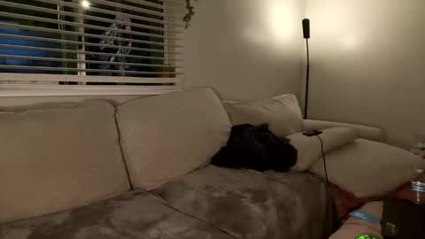 GoddessMayvn online show from January 26, 2025, 7:32 am