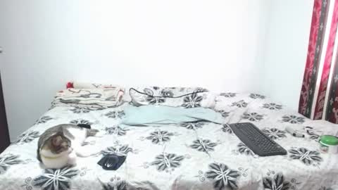 gold_shooter online show from March 12, 2026, 2:56 pm