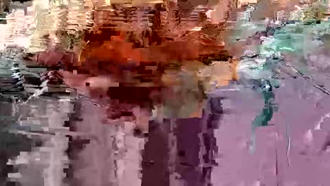 gonadalache online show from November 17, 2025, 3:56 am