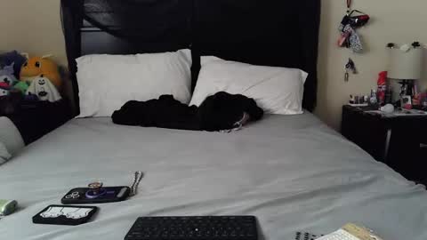 gothbaby305 online show from October 29, 2025, 1:46 pm