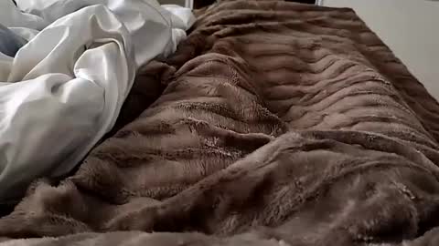 Hazme gozar online show from February 14, 2025, 8:42 am