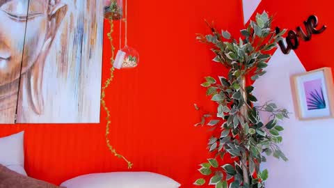 grace online show from February 20, 2025, 10:37 pm