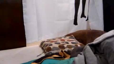 Get US to 1000 you wont be disapointed online show from December 18, 2025, 3:23 am