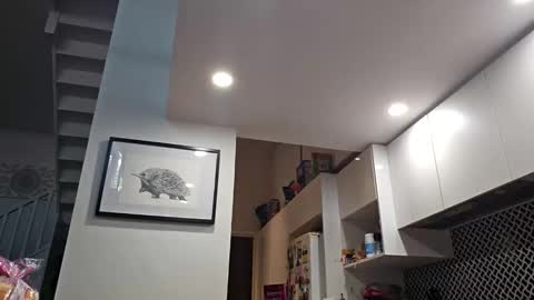 grattitude online show from March 1, 2026, 12:34 am