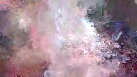 Jack online show from December 15, 2024, 11:34 am