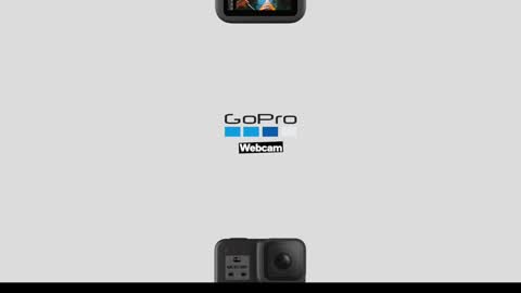 Greenlungs8195 online show from December 9, 2024, 7:06 am