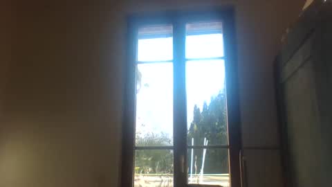 Greenmoon online show from December 18, 2024, 11:45 am