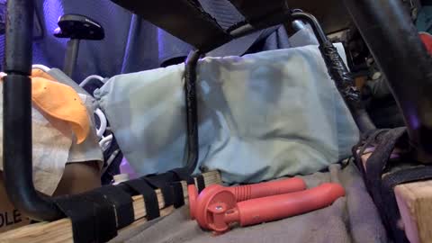 electrogee1 online show from February 12, 2025, 2:35 am