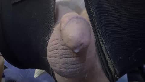 electrogee1 online show from February 19, 2026, 12:28 am