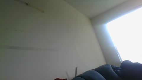 certifiedloverboy online show from December 31, 2024, 4:46 pm