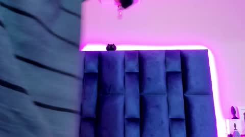 Grisha online show from February 16, 2026, 12:12 pm