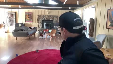 groovycouvie online show from March 1, 2025, 10:42 pm