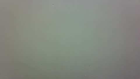 growerboy25 online show from November 26, 2025, 2:56 am