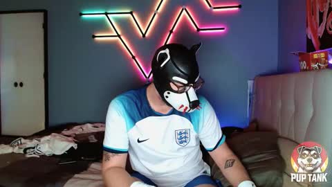 Alpha pup online show from November 1, 2025, 7:16 pm