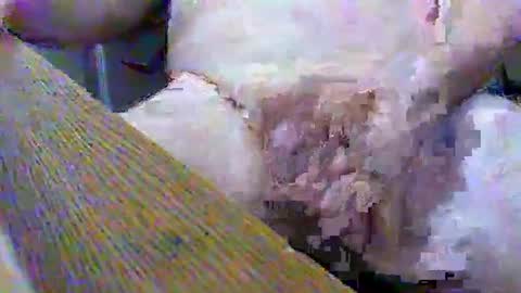 Gary online show from February 2, 2025, 3:39 pm