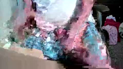 gtr345 online show from April 7, 2026, 6:03 am