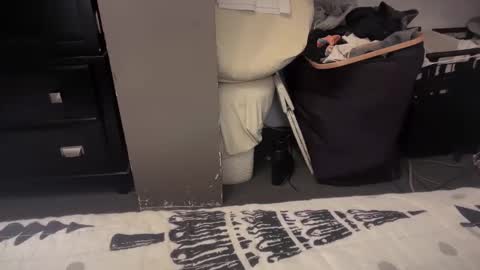 gumbywanna online show from December 20, 2024, 1:36 am