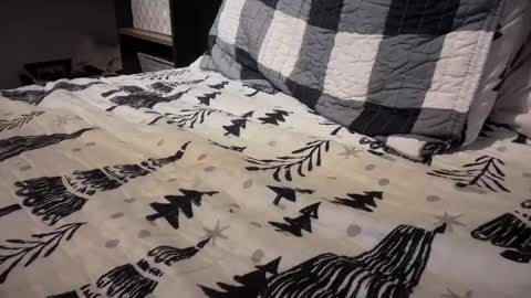 gumbywanna online show from January 3, 2025, 1:05 am