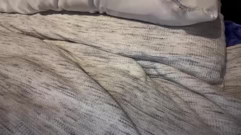 gumbywanna online show from February 9, 2025, 3:23 pm