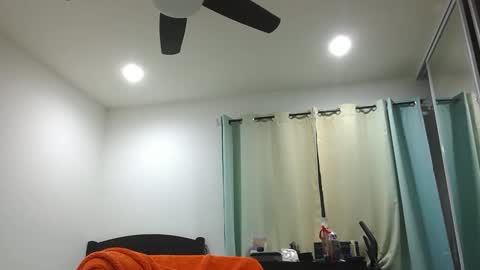 h0nest84 online show from December 31, 2024, 6:16 am