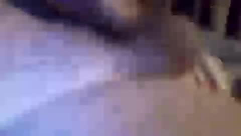 h_rd333 online show from March 11, 2025, 1:45 pm