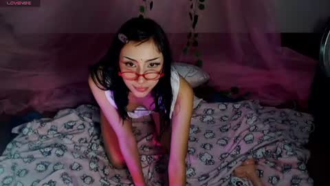 Hachi 3 online show from July 15, 2026, 5:02 am