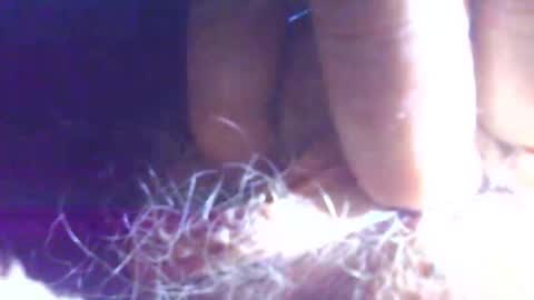 hagridthehorrible online show from November 1, 2025, 11:23 am