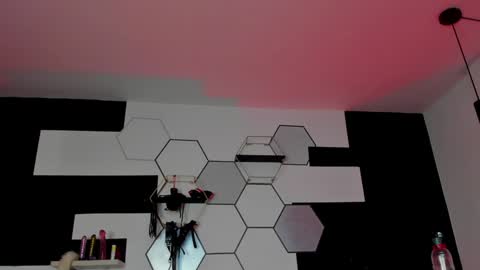 Snapshot of haileycat_ chatting on January 23, 2025, 2:12 am haileycat_ online show from January 23, 2025, 2:12 am