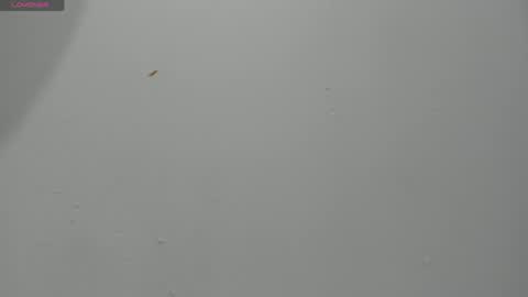 Hailey online show from April 2, 2026, 11:57 pm