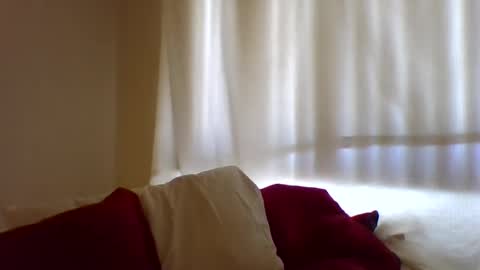 Hailey online show from February 11, 2025, 7:38 pm