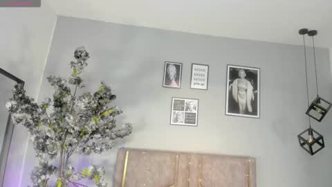 haileystonei online show from December 18, 2025, 11:27 am