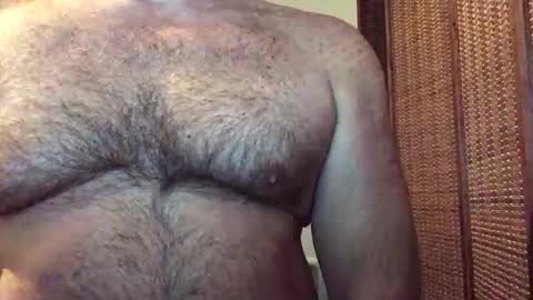 Snapshot of hairbear5 chatting on May 24, 2026, 2:22 pm Bruce online show from May 24, 2026, 2:22 pm