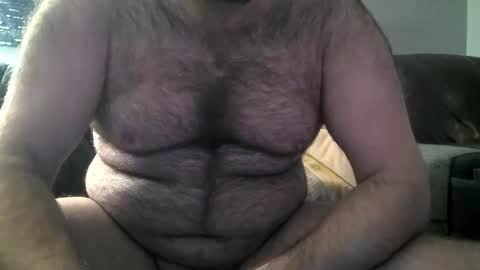 Snapshot of hairiestbear chatting on February 8, 2025, 10:39 am Hairiest Bear online show from February 8, 2025, 10:39 am