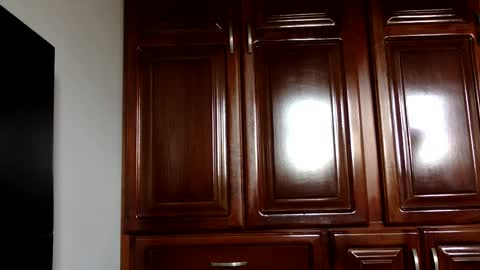 Snapshot of hairyweedman chatting on January 4, 2025, 7:44 pm NN420 online show from January 4, 2025, 7:44 pm