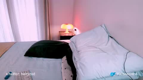 Zod Bakcheia online show from December 31, 2024, 5:29 pm