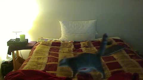 hammerthatthang73 online show from November 3, 2025, 1:29 am