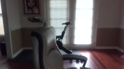 Han online show from February 8, 2025, 1:22 pm