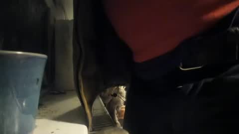 handncocknocum online show from December 8, 2024, 5:22 pm