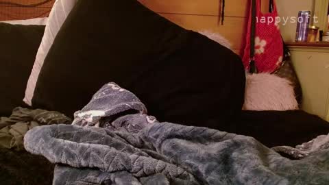 meatwad online show from March 11, 2025, 11:33 am