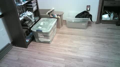 Snapshot of har5 chatting on January 6, 2025, 4:26 am Hardy-Har online show from January 6, 2025, 4:26 am