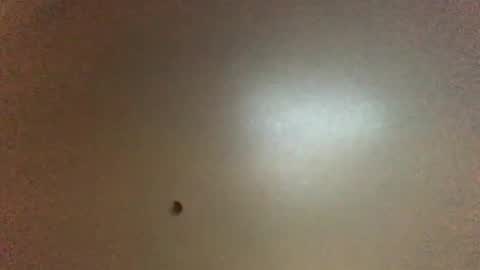 For You online show from February 1, 2026, 11:36 pm