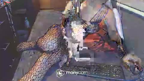 Irina online show from March 3, 2025, 12:48 pm