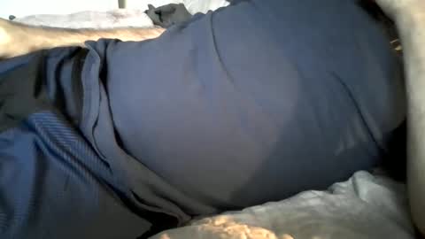 hardnick696 online show from February 19, 2025, 11:14 pm