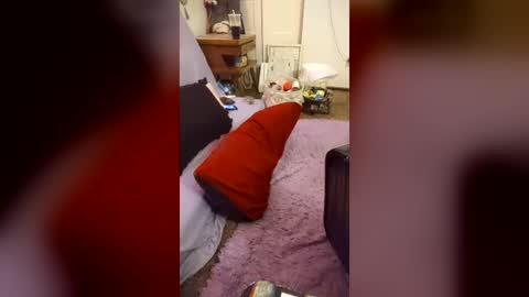 harleyszaddy online show from June 15, 2026, 7:54 am