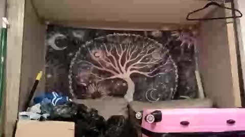 harlleymiller673 online show from October 17, 2025, 3:20 am